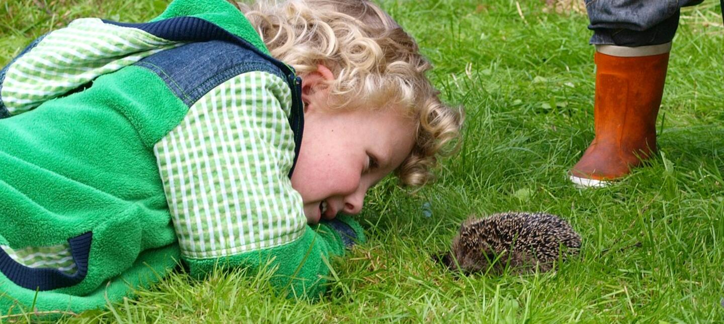 Kind bewondert egel