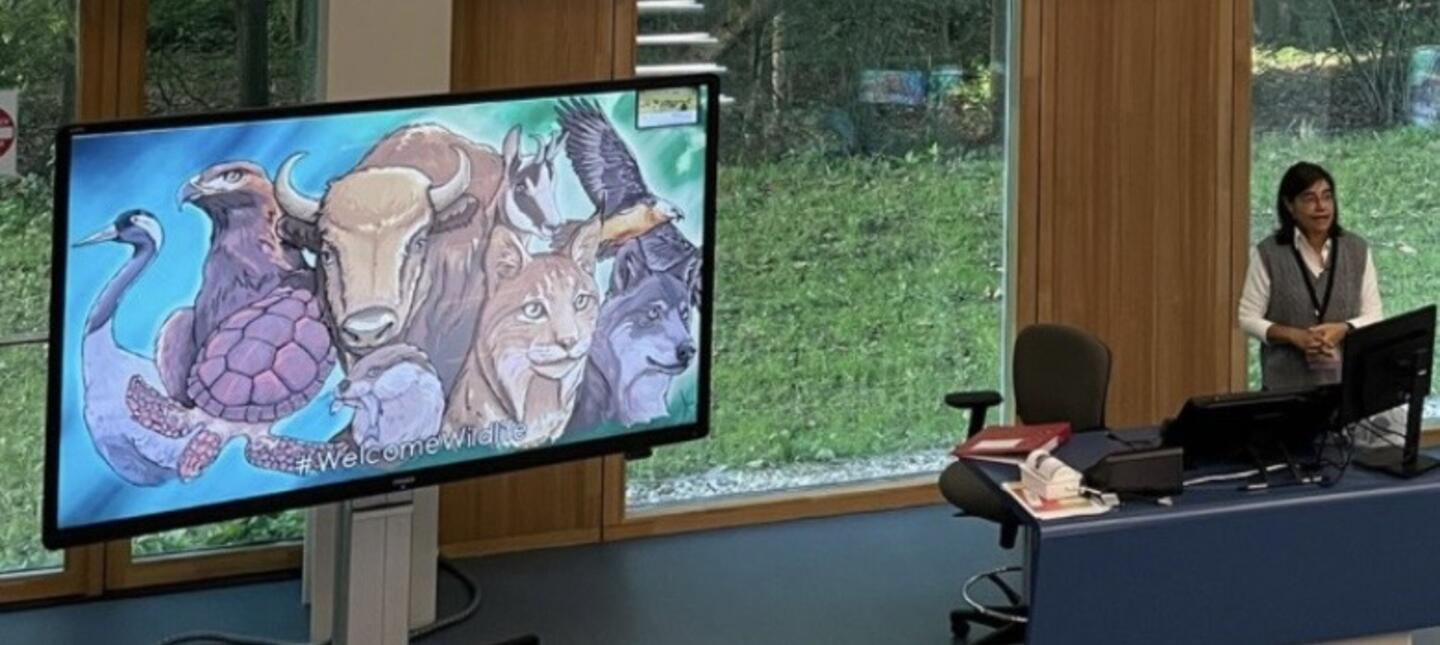 Internationale Conferentie over wilde dieren en mensen
