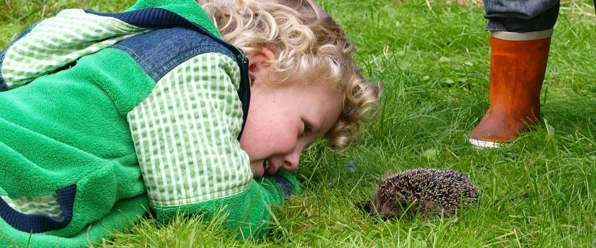 Kind bewondert egel