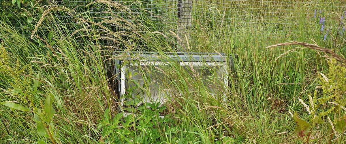 Faunafail: een kapotte klep