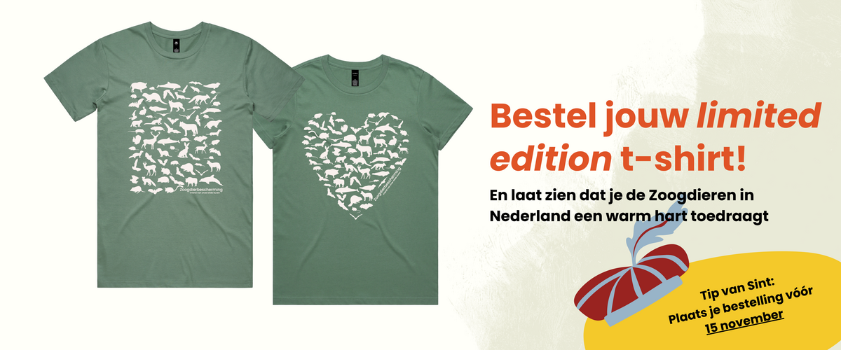 Limited shirt + sint oproep