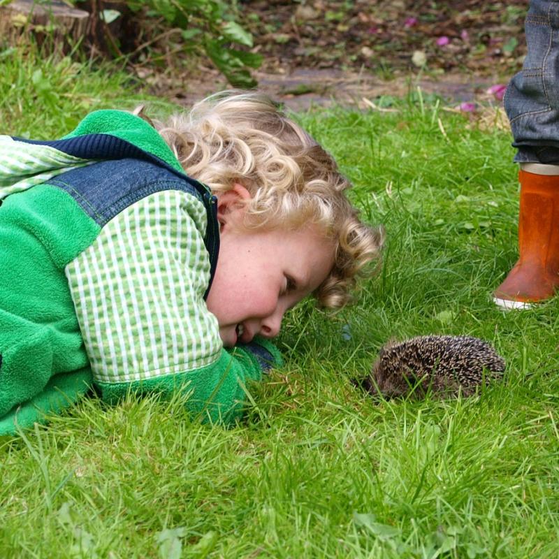 Kind bewondert egel