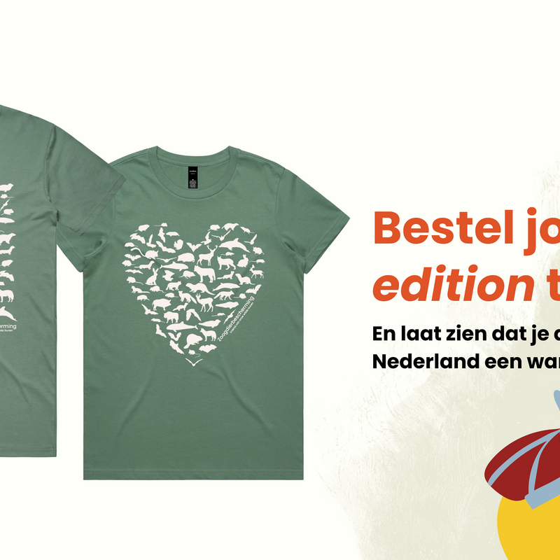 Limited shirt + sint oproep