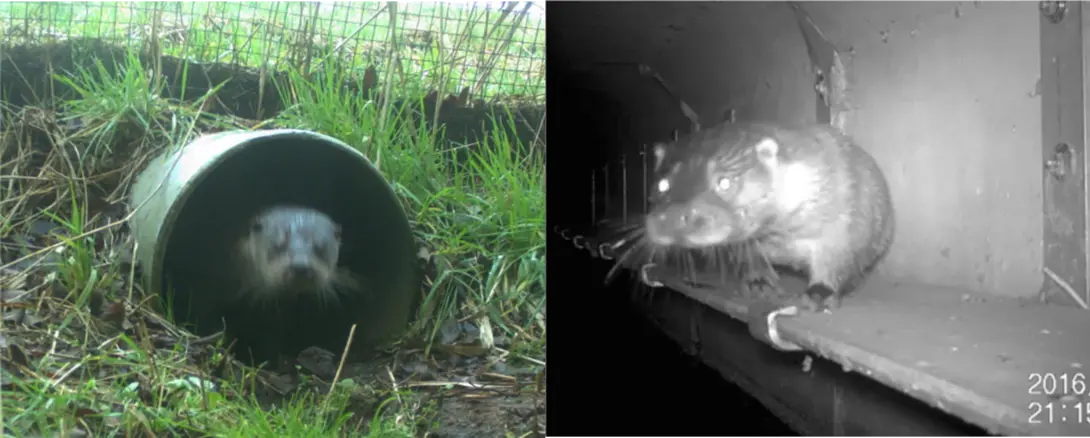 Ottervoorzieningen