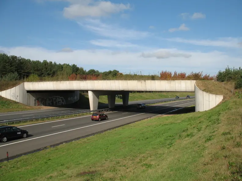 Viaduct Gentiaan met ecologische verbindingszone over de A50 bij Son en Breugel