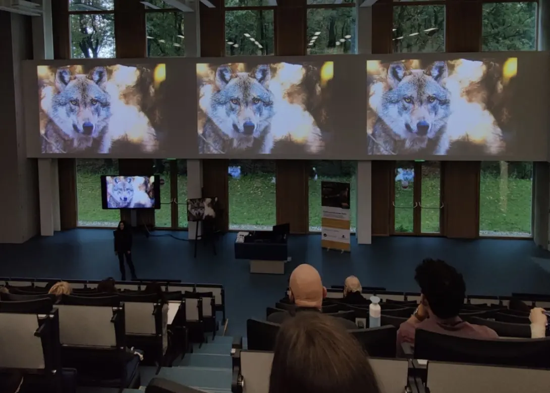 Internationale Conferentie over wilde dieren en mensen