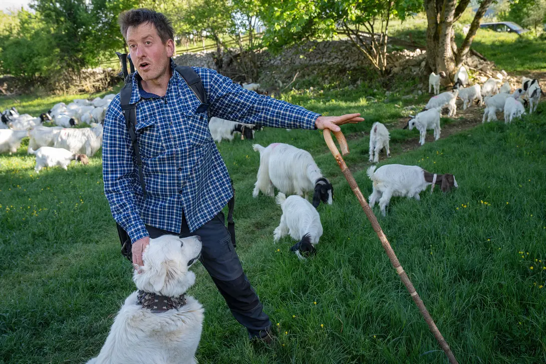 Giovanni Saltarelli vertelt hoe zijn dorp al eeuwenlang samenleeft met beren en wolven (Bron: Staffan Widstrand)